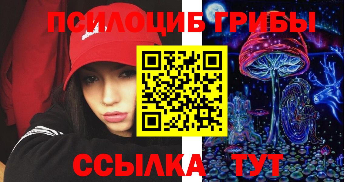 Галлюциногенные грибы мухоморы Светлоград