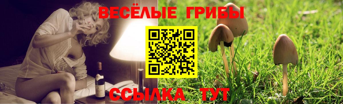 Галлюциногенные грибы мухоморы  магазин  наркотиков  Светлоград  Вход с VPN 